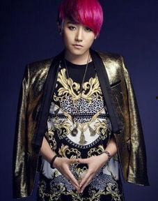 赵泳鑫资料,音乐才子与影视新星的跨界人生